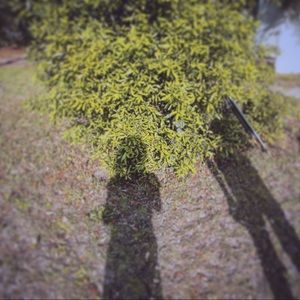 Meet your Posher, Taryn